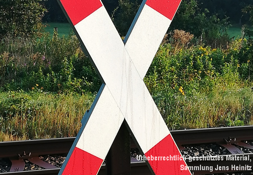 EBOE Heeder Tannen Andreaskreuz 11-Sep-2019 J Heinitz